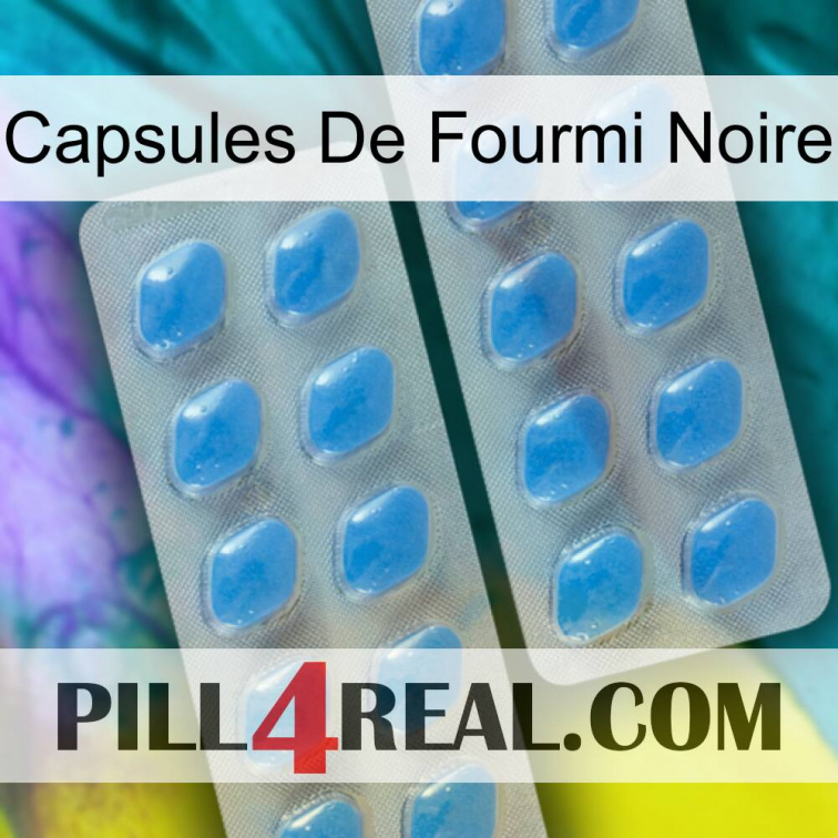 Black Ant Capsules 23